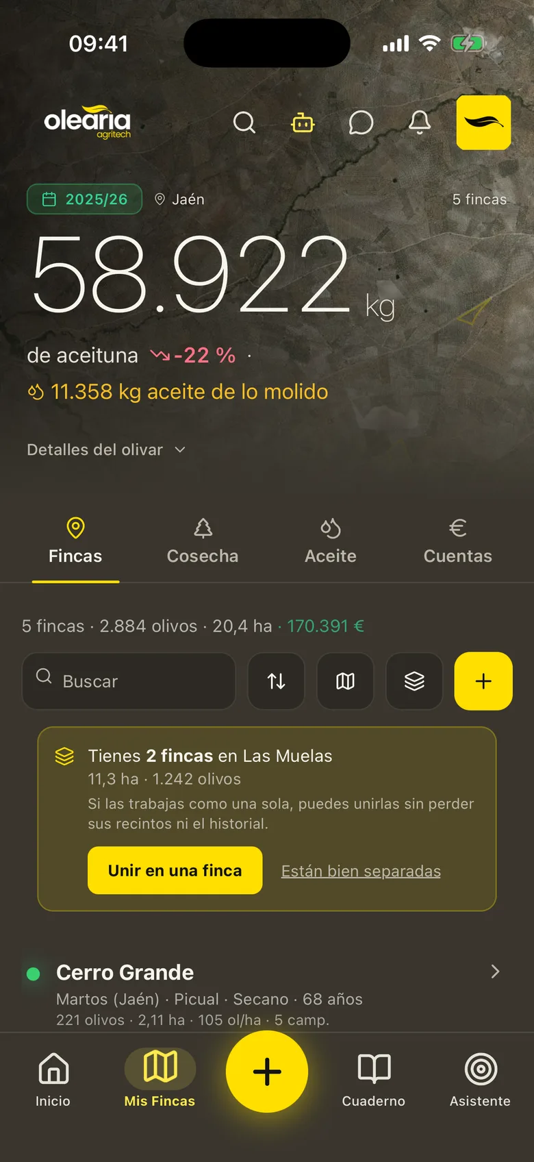 Mis fincas con los kilos de aceituna y de aceite de la campaña frente a la anterior
