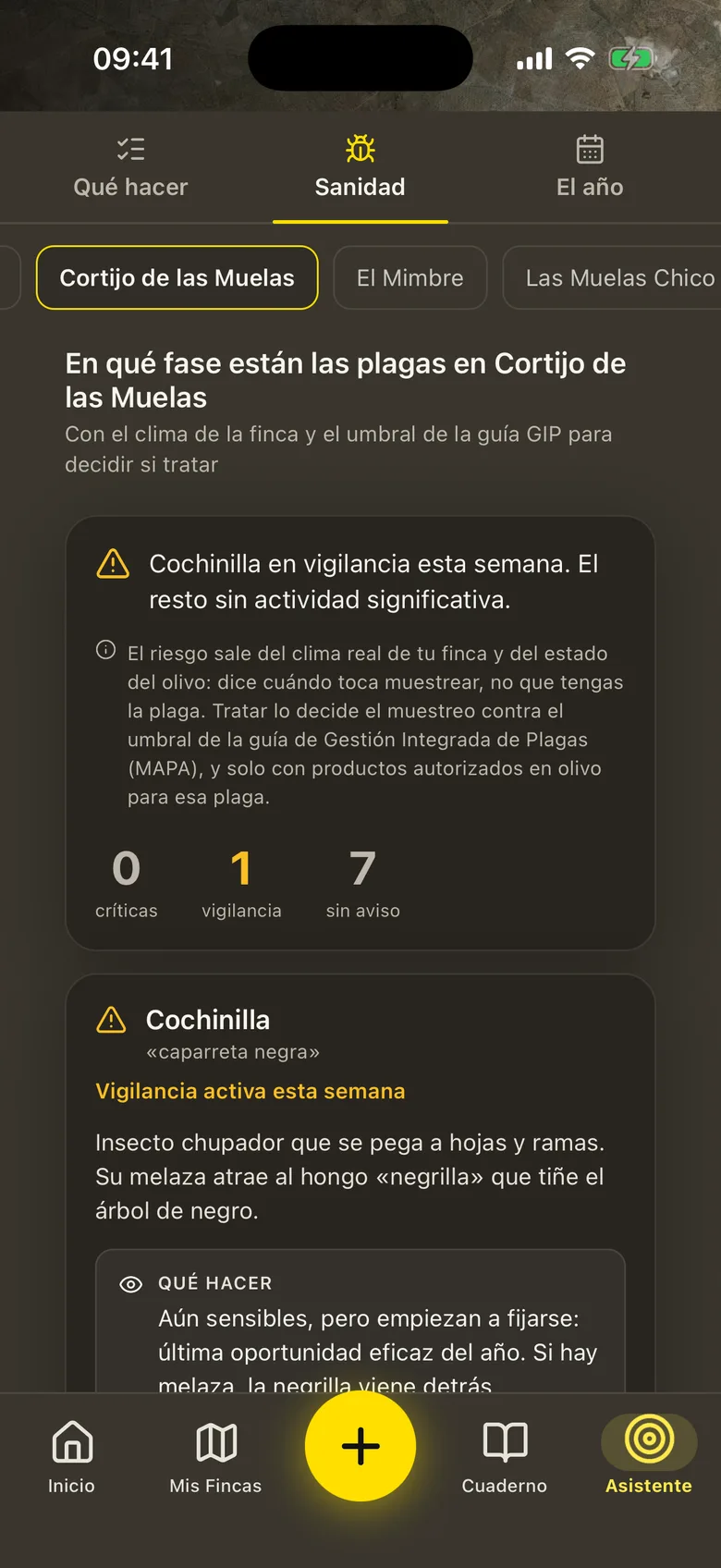 El riesgo de cada plaga en la finca, con qué hacer y cuándo muestrear