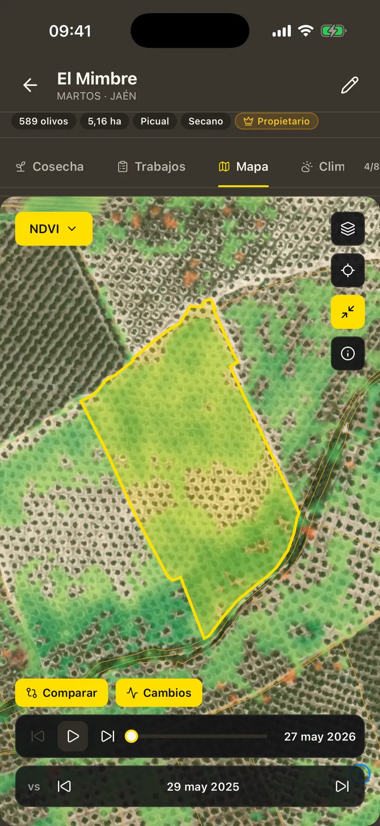 Finca sobre imagen de satélite con el vigor de cada olivo y el comparador de fechas