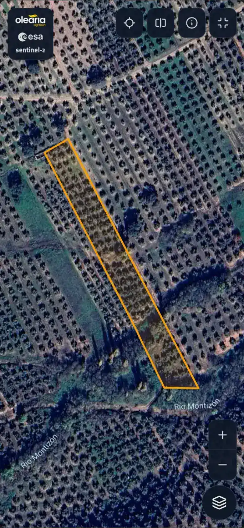 El estado de salud de tu olivar cada 5 días, en el móvil - 3