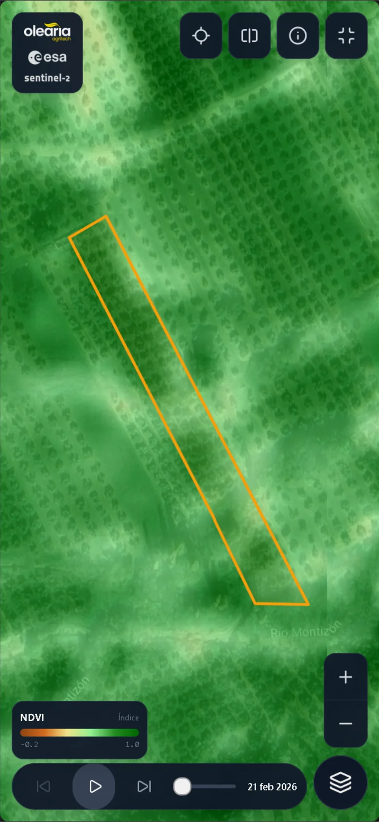 El estado de salud de tu olivar cada 5 días, en el móvil - 1