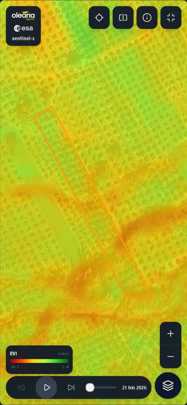 El estado de salud de tu olivar cada 5 días, en el móvil - 2