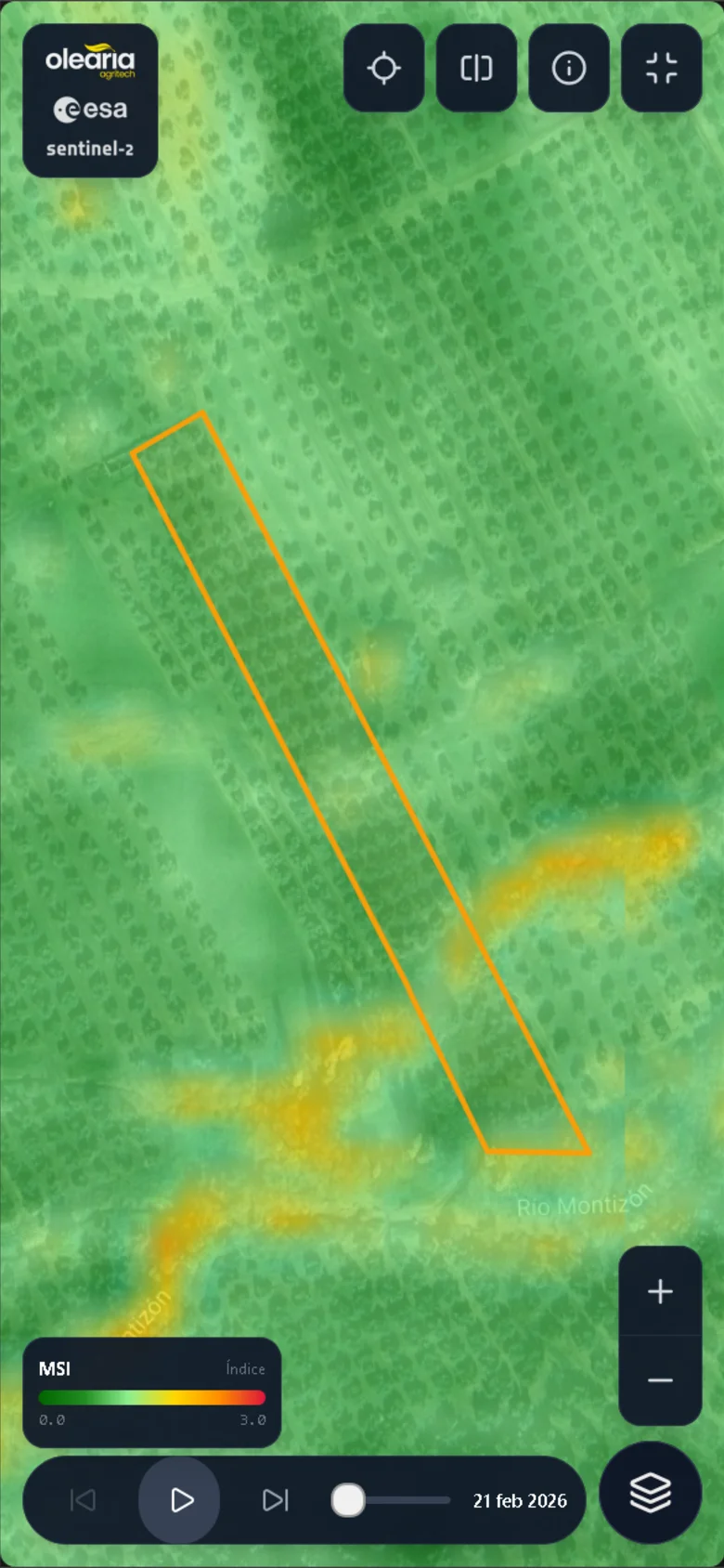 El estado de salud de tu olivar cada 5 días, en el móvil - 4