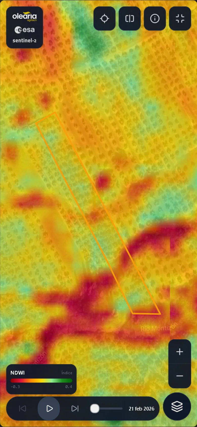 El estado de salud de tu olivar cada 5 días, en el móvil - 5