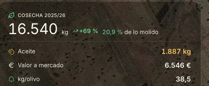De kilos de aceituna a valor de cosecha