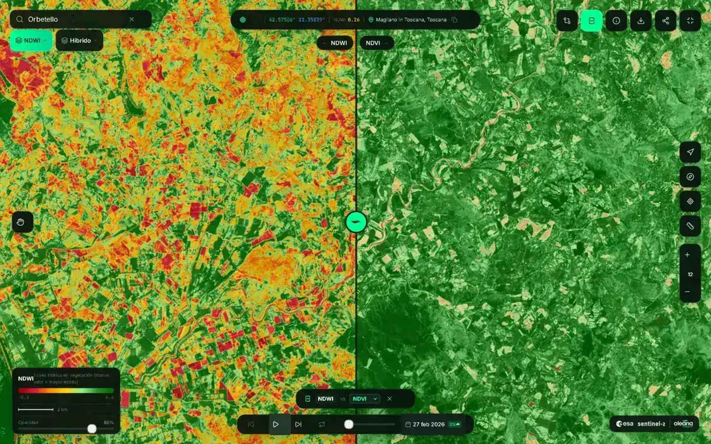 Mapa satelital NDVI con índices de vegetación de olivares