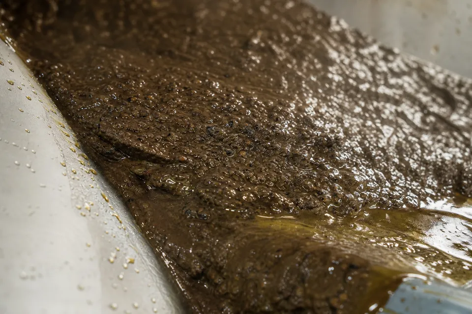 Alperujo húmedo deslizándose por una rampa de acero, con un brillo de aceite