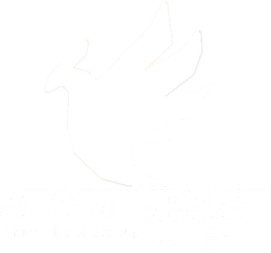 Startups.st - From Idea to Startup